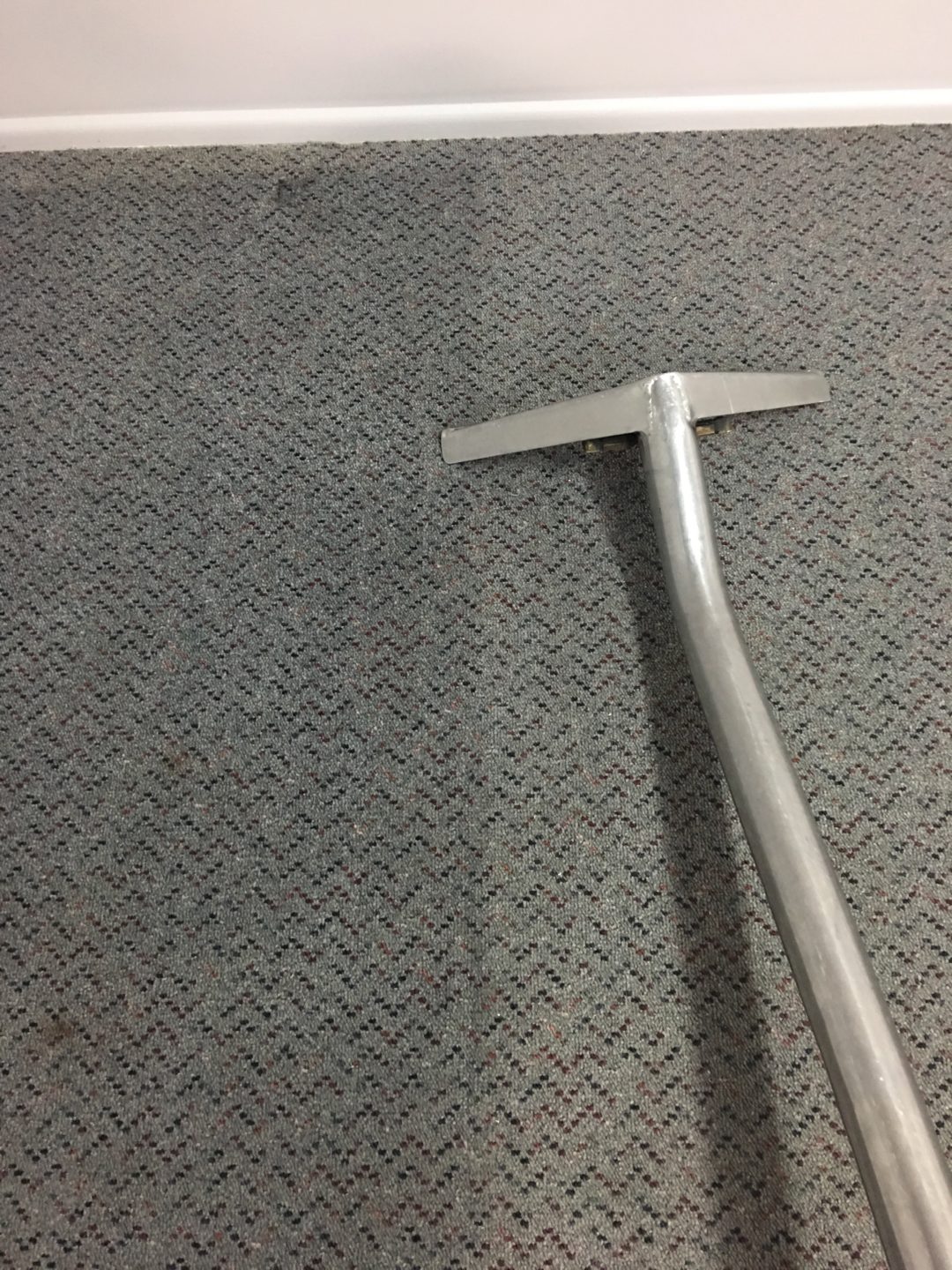 Carpets Port Curtis Carpet Cleaning Gladstone & Pest Control Gladstone