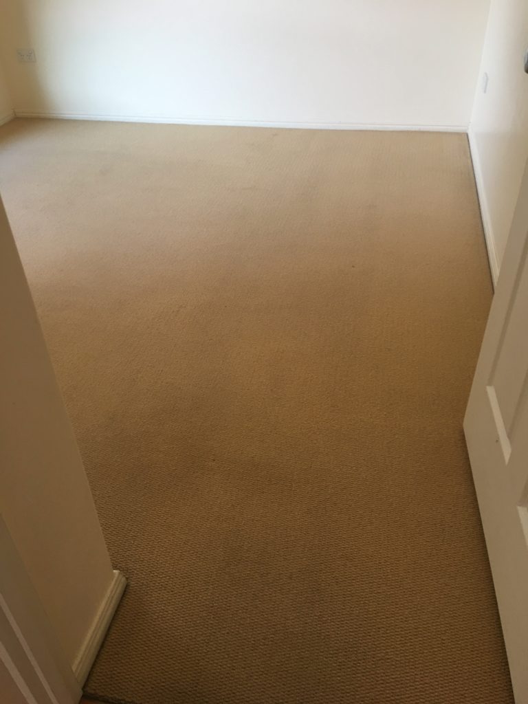 Carpets Port Curtis Carpet Cleaning Gladstone & Pest Control Gladstone