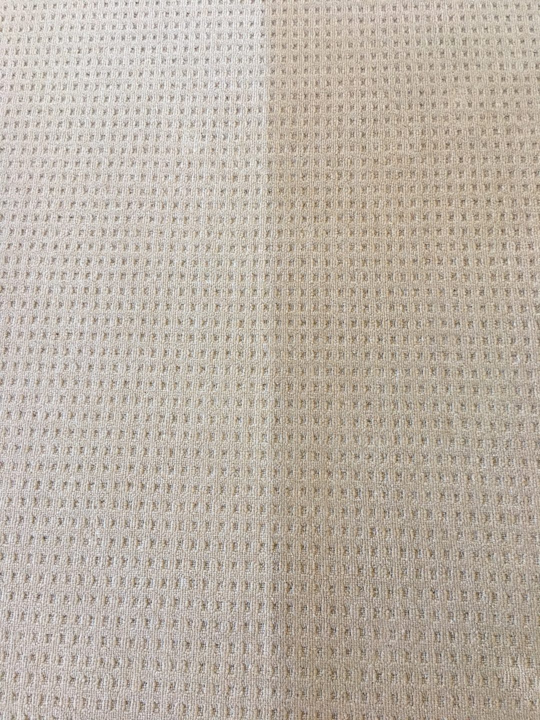 Carpets Port Curtis Carpet Cleaning Gladstone & Pest Control Gladstone