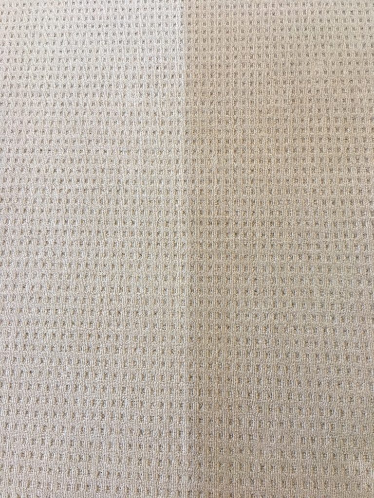 Carpets Port Curtis Carpet Cleaning Gladstone & Pest Control Gladstone